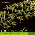 Orchids of Asia New and Expanded 3rd Ed