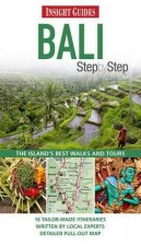 Insight Step by Step Guide Bali
