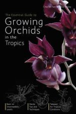 The Essential Guide to Growing Orchids in the Tropics