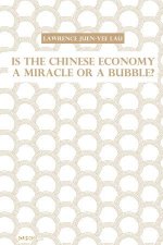 Is the Chinese Economy a Miracle or a Bubble