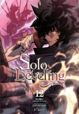 Solo Leveling Vol 12 comic