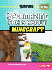 Unbelievable 34 Amazing Facts about Minecraft