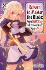 Reborn to Master the Blade From HeroKing to Extraordinary Squire Vol 8 light novel