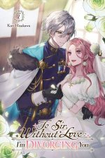 To Sir Without Love Im Divorcing You I Part 2 light novel
