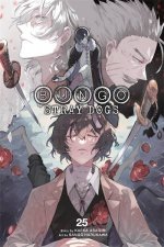 Bungo Stray Dogs 25