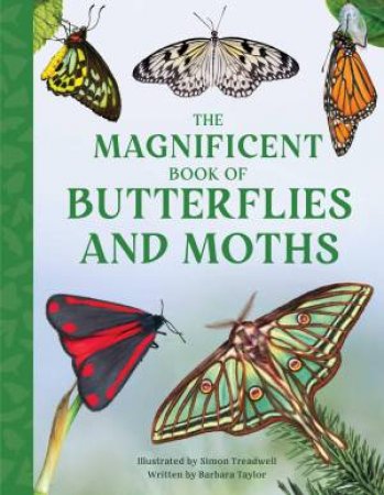 The Magnificent Book of Butterflies and Moths by Barbara Taylor & Simon Treadwell