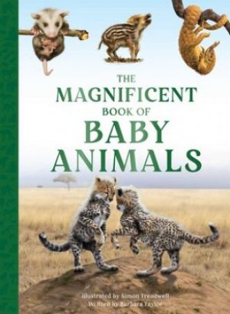 The Magnificent Book of Baby Animals by Barbara Taylor & Simon Treadwell