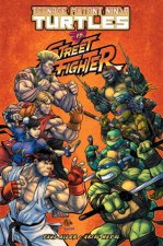 Teenage Mutant Ninja Turtles Vs Street Fighter