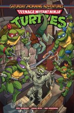 Teenage Mutant Ninja Turtles Saturday Morning Adventures Vol 6