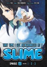 That Time I Got Reincarnated as a Slime Omnibus 1 Vol 13