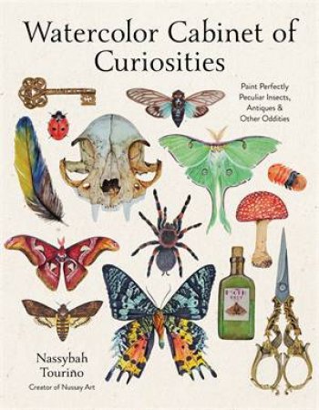 Watercolor Cabinet of Curiosities by Nassybah Touriño