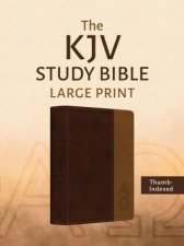 KJV Study Bible Large Print TwoTone Brown Alpha  Omega