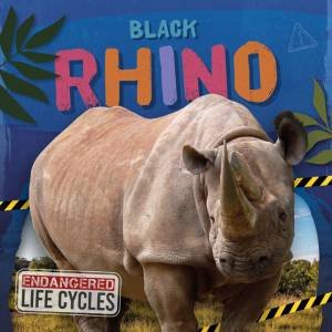 Endangered Life Cycles: Black Rhino by E. C. ANDREWS