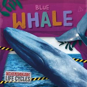 Endangered Life Cycles: Blue Whale by E. C. ANDREWS