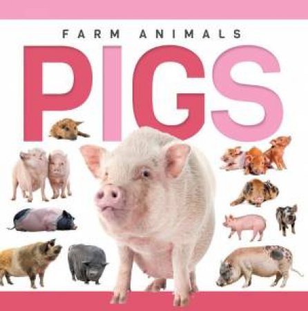 Genius Kid: Farm Animals: Pigs by SADIE HALLWORTH